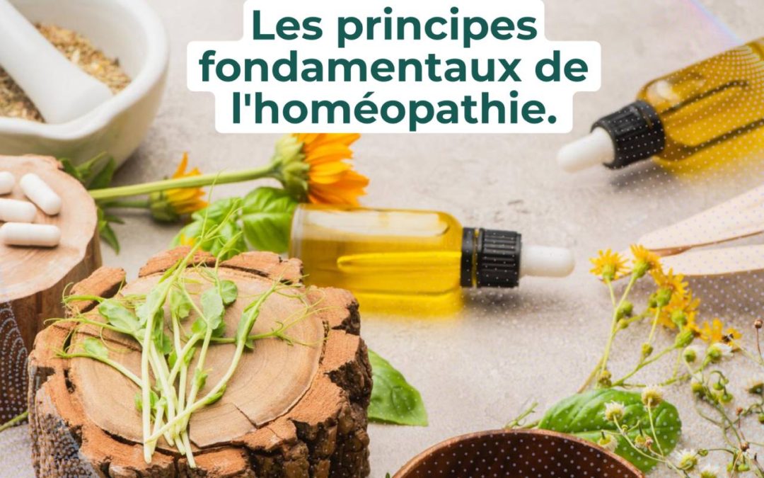 PRINCIPES FONDAMENTAUX